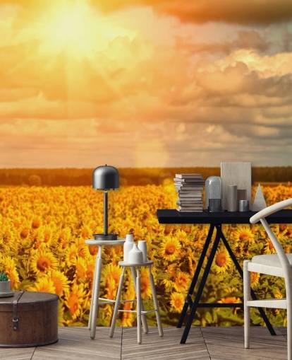 Solsikker i et felt ved Sunrise Mural