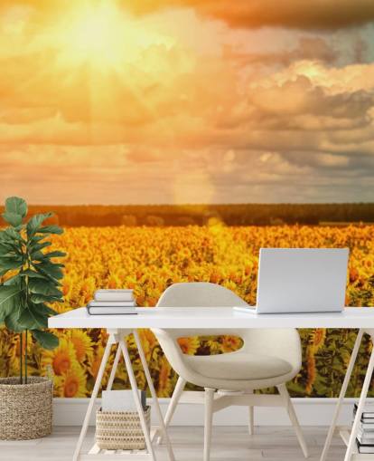 Mural Girasoles en un campo al amanecer