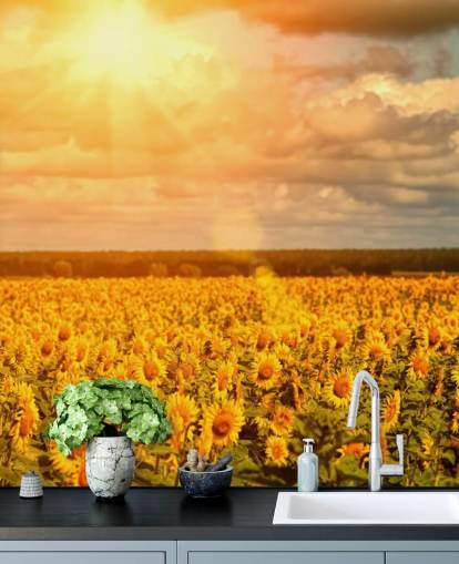 Mural Girasoles en un campo al amanecer