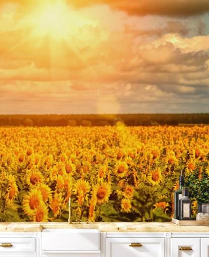 Peinture murale Tournesols dans un champ au lever du soleil
