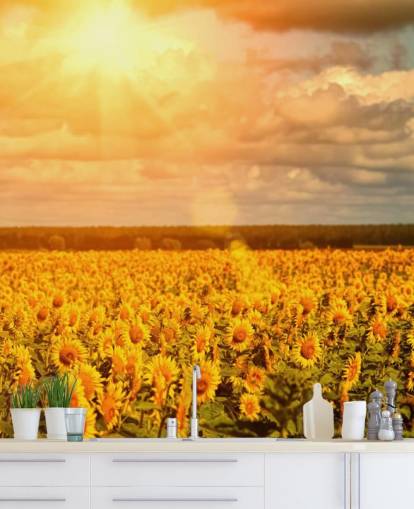Decorazione murale con girasoli in un campo all'alba