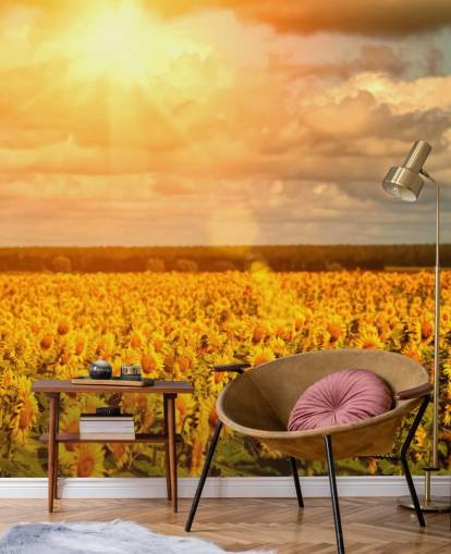 Mural Girasoles en un campo al amanecer