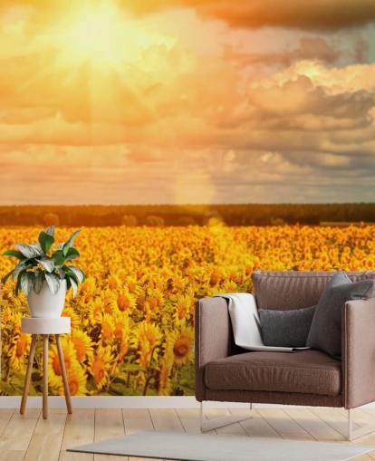 Solrosor i ett fält vid Sunrise Väggmålning