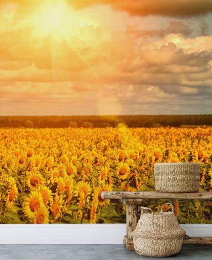 Solrosor i ett fält vid Sunrise Väggmålning