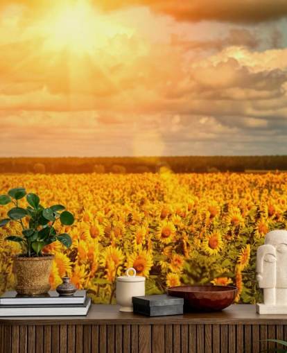 Mural Girasoles en un campo al amanecer