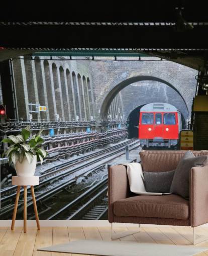tfl wallpaper mural called London Underground Train Wallpaper for offices, businesses and home offices