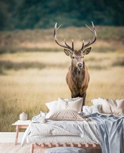 Lonely Red Stag Behang