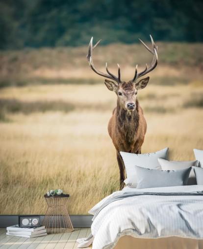 Lonely Red Stag Wallpaper