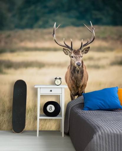 Einsamer roter Hirsch Tapete