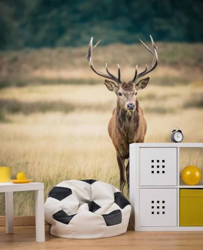 Lonely Red Stag Behang