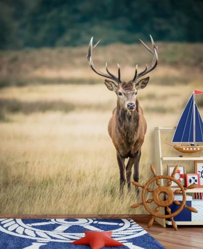 Lonely Red Stag Wallpaper