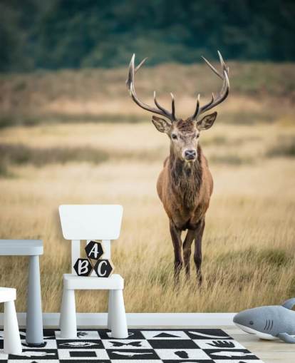 Einsamer roter Hirsch Tapete