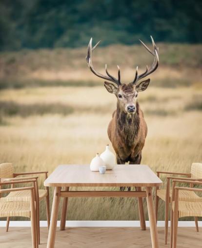 Lonely Red Stag Wallpaper