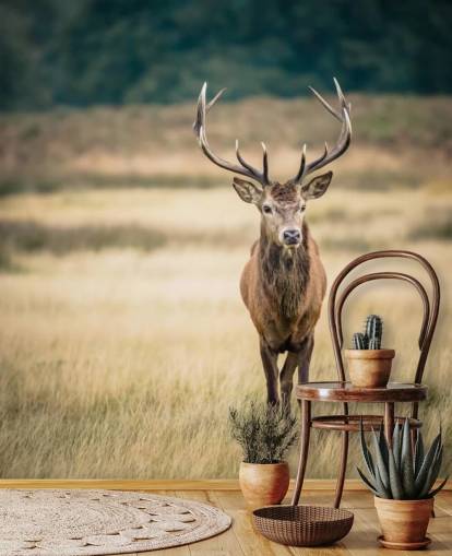 Lonely Red Stag Wallpaper