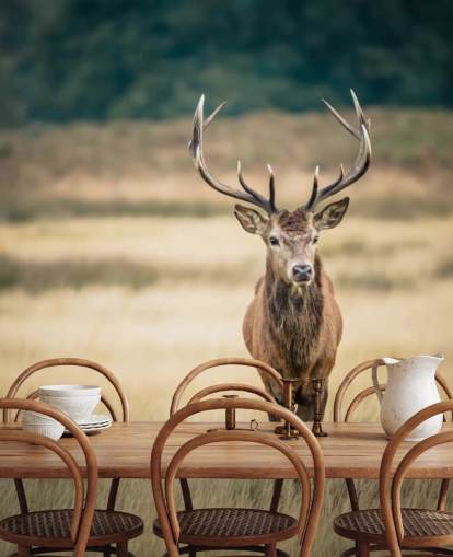 Lonely Red Stag Wallpaper