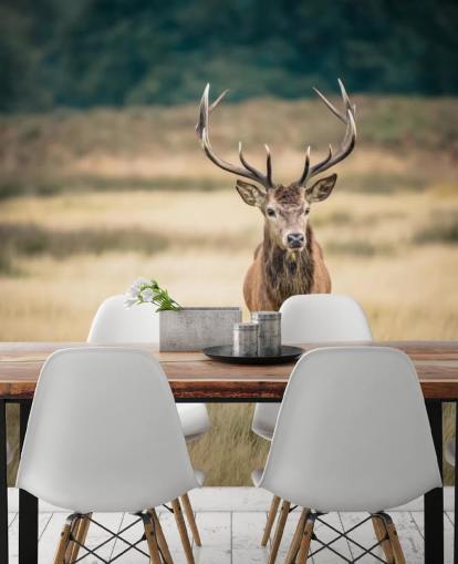 Lonely Red Stag Wallpaper