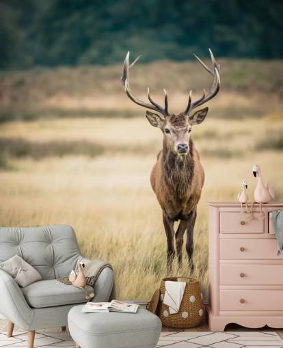Lonely Red Stag Behang Lonely Red Stag Behang