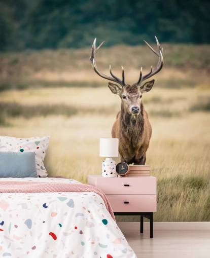 Lonely Red Stag Taustakuva