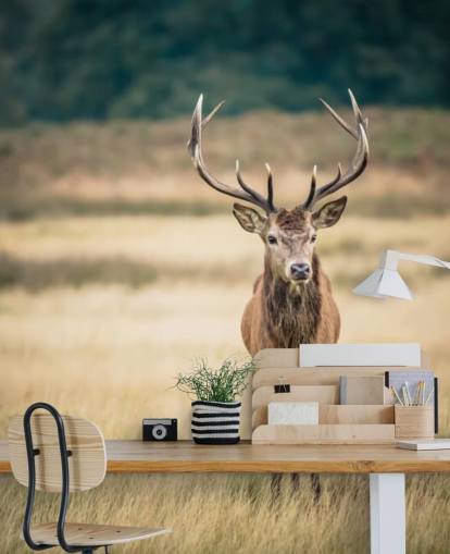 Fondo de pantalla de ciervo rojo solitario