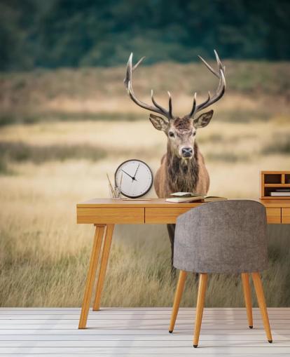 Lonely Red Stag Wallpaper