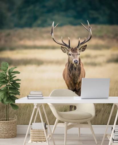 Lonely Red Stag Behang