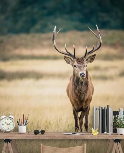 Lonely Red Stag Wallpaper