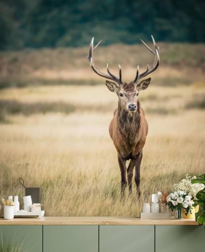 Ensam röd Stag Bakgrund