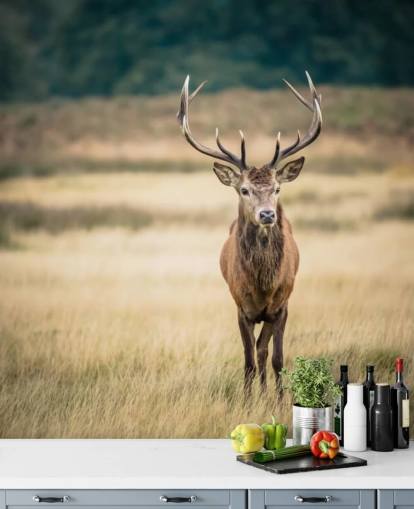 Lonely Red Stag Behang