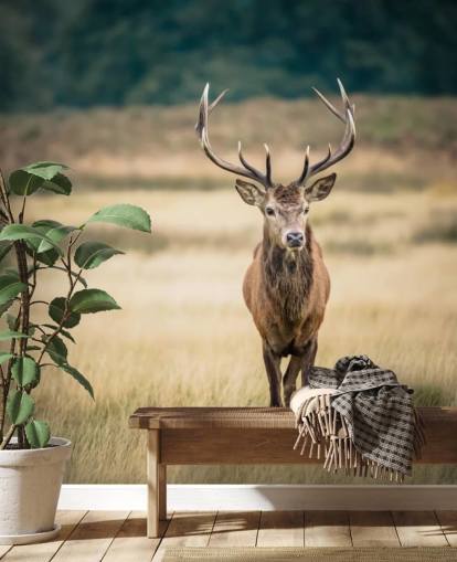 Lonely Red Stag Wallpaper Lonely Red Stag Wallpaper