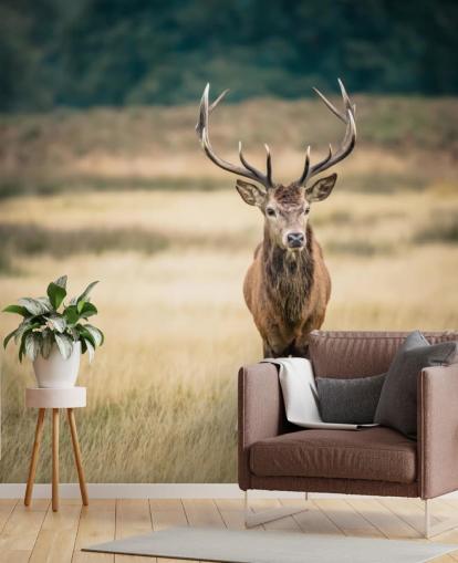 Lonely Red Stag Wallpaper