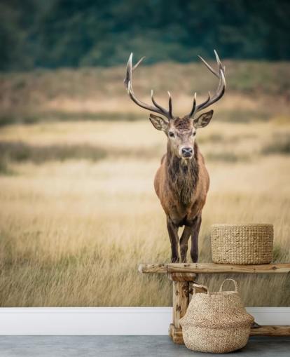 Lonely Red Stag Wallpaper