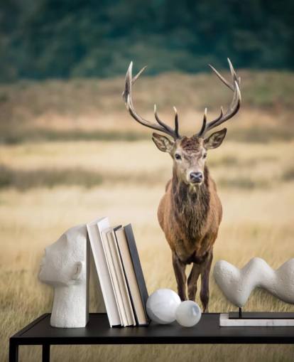 Lonely Red Stag Taustakuva