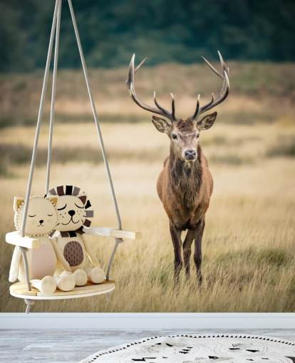 Lonely Red Stag Wallpaper