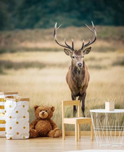 Lonely Red Stag Baggrund