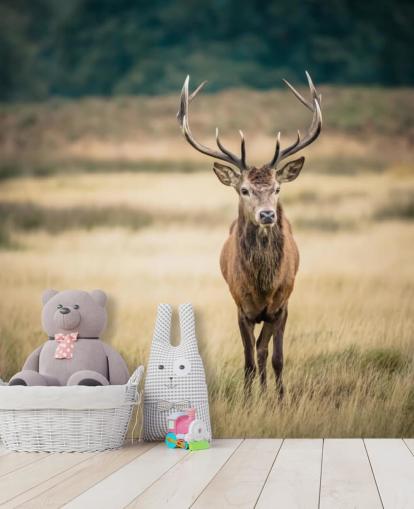 Ensom Red Stag Bakgrunn Ensom Red Stag Bakgrunn