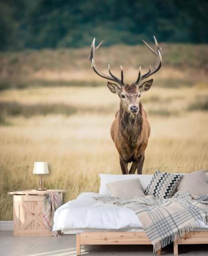 Lonely Red Stag Wallpaper