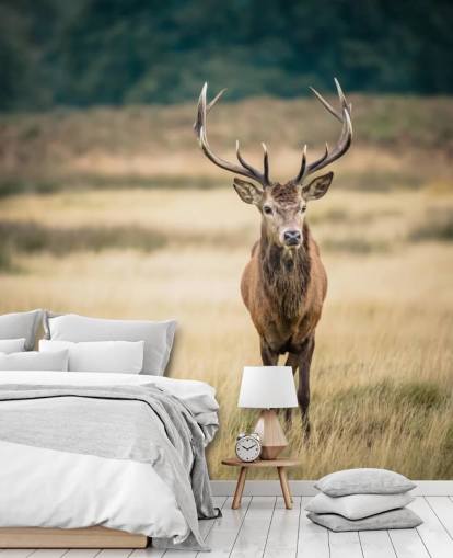 Lonely Red Stag Wallpaper