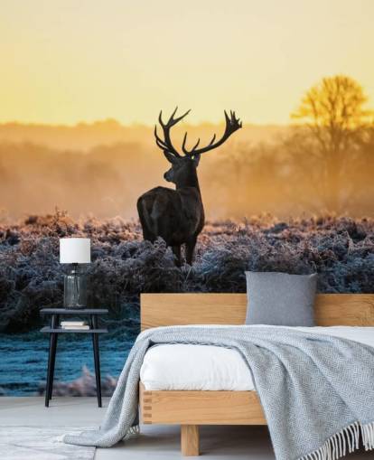 Papel de Parede Mural Red Deer Sunrise