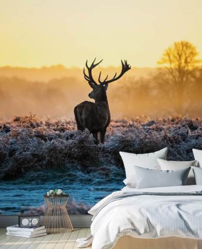 Red Deer Soloppgang Veggmaleri Bakgrunn Red Deer Soloppgang Veggmaleri Bakgrunn