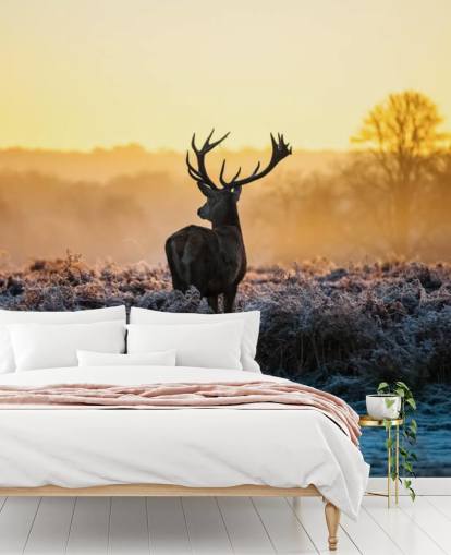 Red Deer Soloppgang Veggmaleri Bakgrunn Red Deer Soloppgang Veggmaleri Bakgrunn