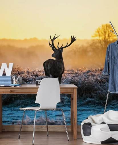 Red Deer Solopgang Vægmaleri Baggrund Red Deer Solopgang Vægmaleri Baggrund