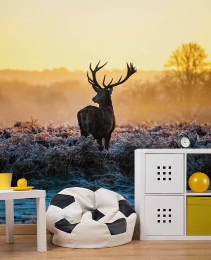 Red Deer Sunrise Muurschildering Behang Red Deer Sunrise Muurschildering Behang