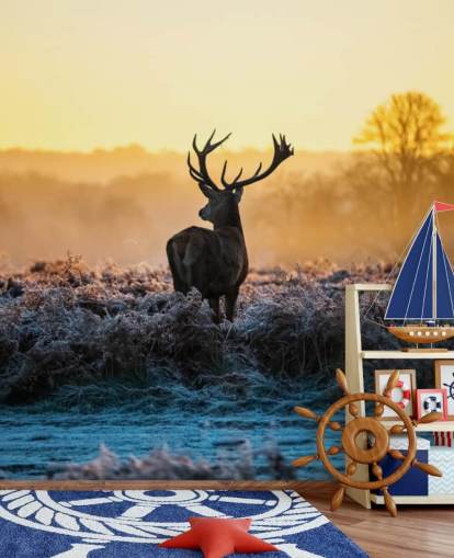 Red Deer Sunrise Wall Mural Wallpaper