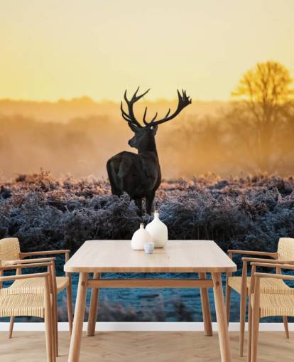 Red Deer Sunrise seinämaalaus Taustakuva