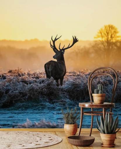 Red Deer Sunrise seinämaalaus Taustakuva