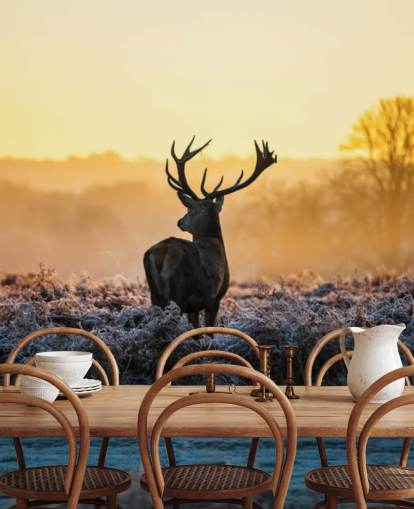 Red Deer Sunrise Wall Mural Wallpaper
