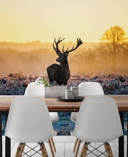 Red Deer Sunrise Muurschildering Behang