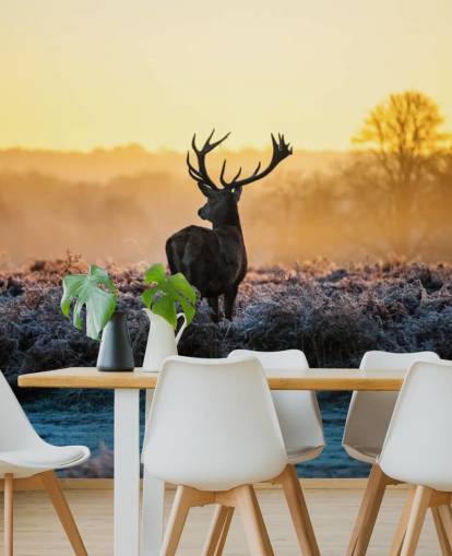 Red Deer Sunrise Wall Mural Wallpaper