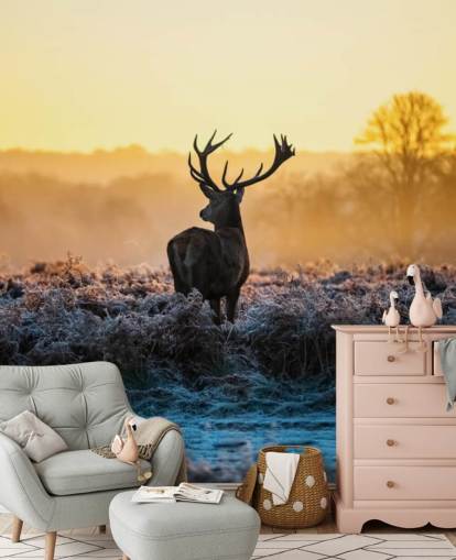 Red Deer Sunrise Wall Mural Wallpaper