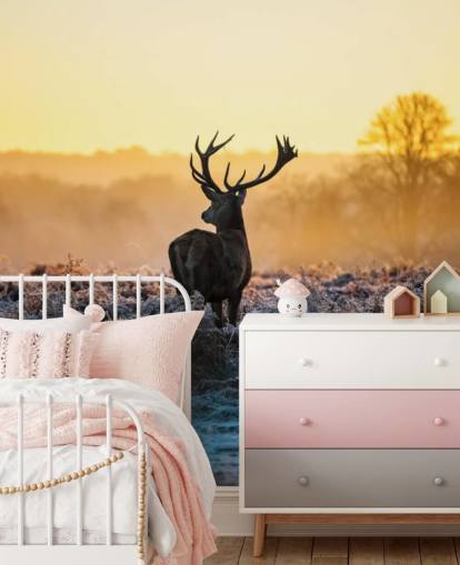 Red Deer Sunrise Wall Mural Wallpaper